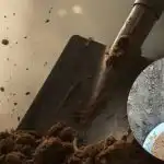 Pavasara triki dārzam: trīs vienkāršas darbības aprīlī pārsteigs ar rezultātiem